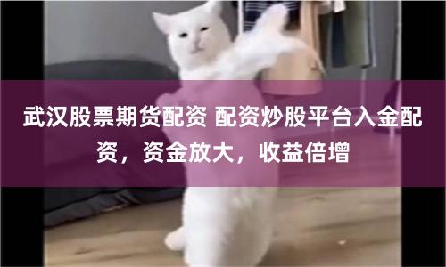 武汉股票期货配资 配资炒股平台入金配资，资金放大，收益倍增