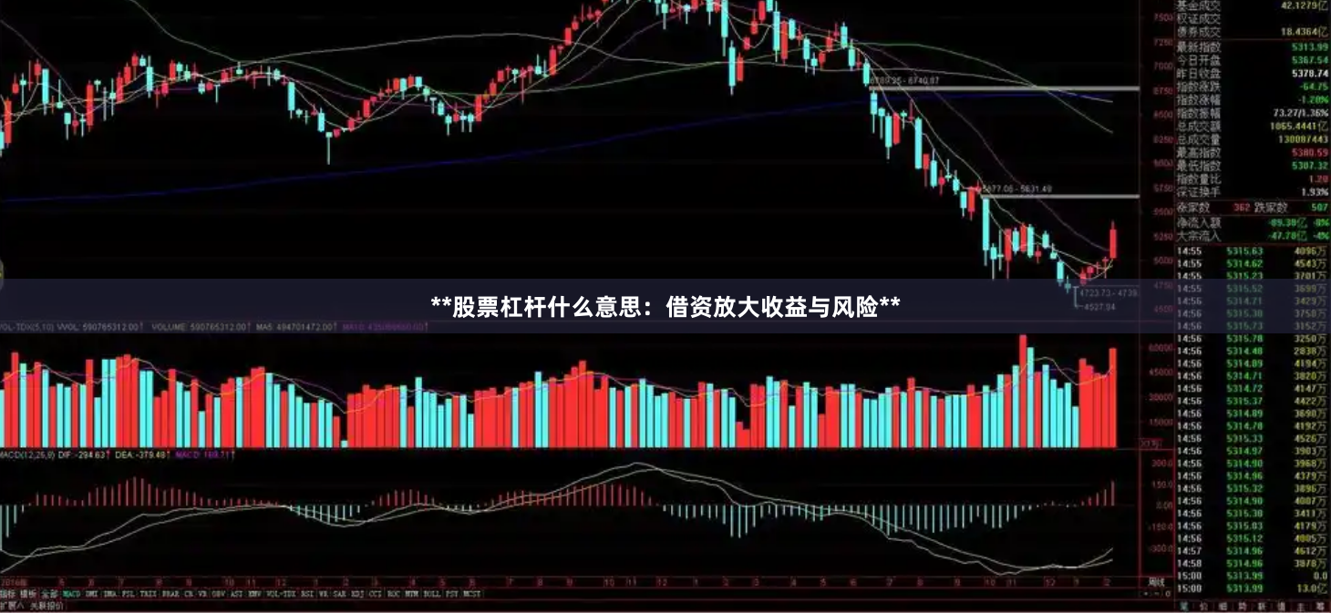 **股票杠杆什么意思：借资放大收益与风险**